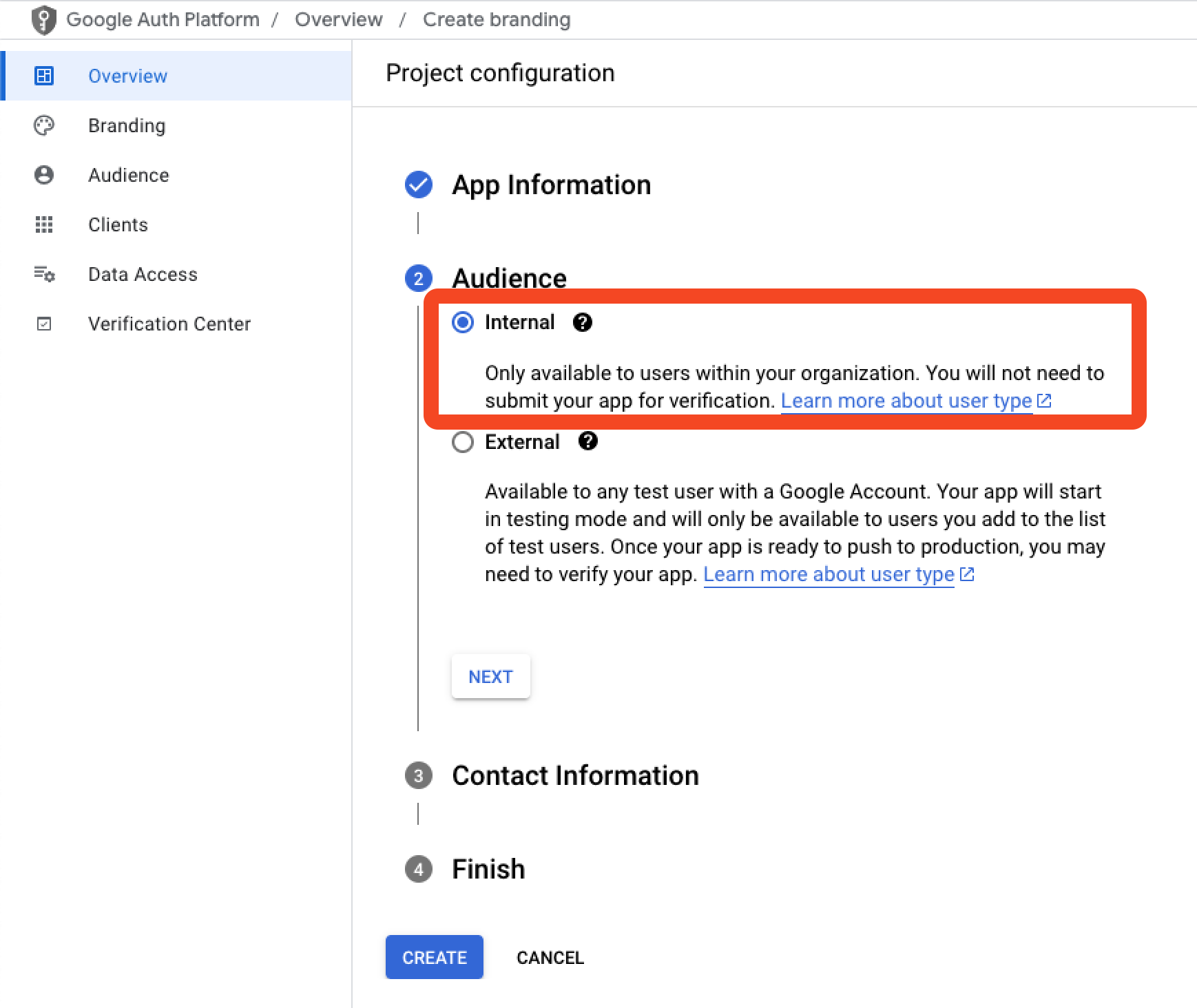 Google app configuration showing the Internal audience selected